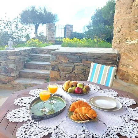 Olive Tree House Ándros